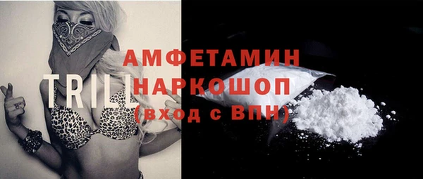 сатива Дмитровск