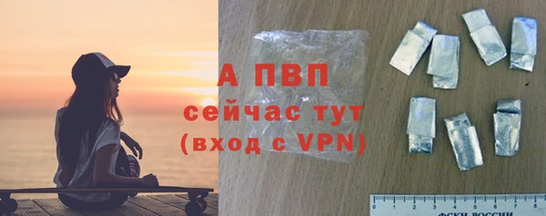 сатива Дмитровск