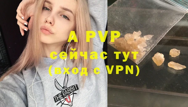мет Дмитриев
