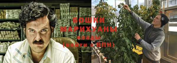 бошки Дмитров
