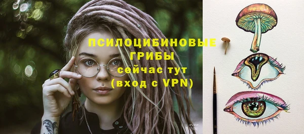 бошки Дмитров