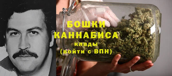 сатива Дмитровск