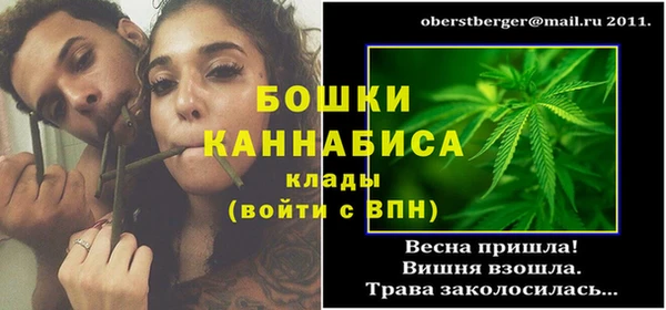 бошки Дмитров