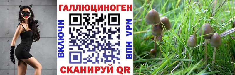 нарко площадка официальный сайт Жуковка Псилоцибиновые грибы мицелий продажа наркотиков